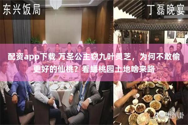 配资app下载 万圣公主窃九叶灵芝，为何不敢偷更好的仙桃？看蟠桃园土地啥来路