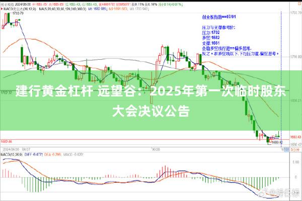 建行黄金杠杆 远望谷：2025年第一次临时股东大会决议公告