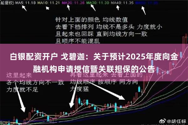 白银配资开户 戈碧迦：关于预计2025年度向金融机构申请授信暨关联担保的公告