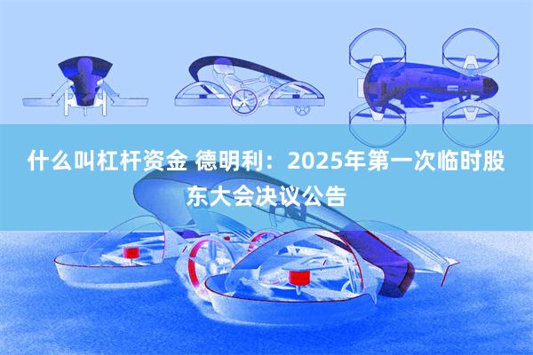 什么叫杠杆资金 德明利：2025年第一次临时股东大会决议公告