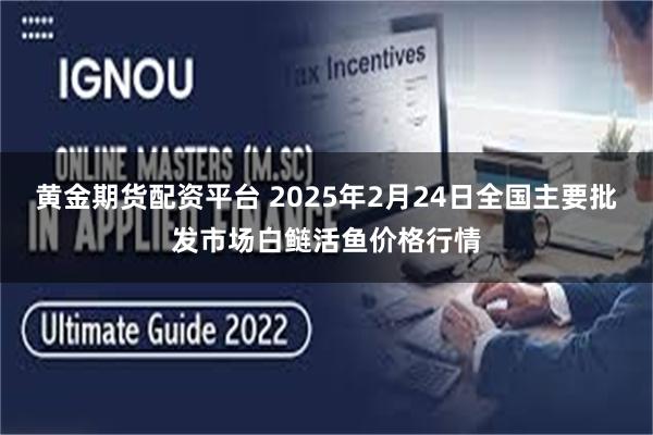 黄金期货配资平台 2025年2月24日全国主要批发市场白鲢活鱼价格行情