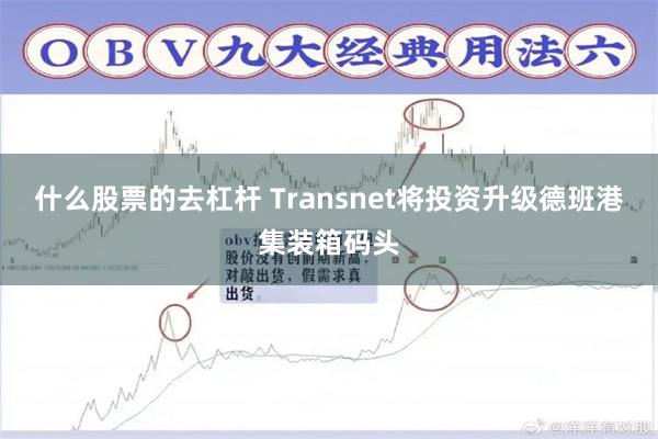 什么股票的去杠杆 Transnet将投资升级德班港集装箱码头